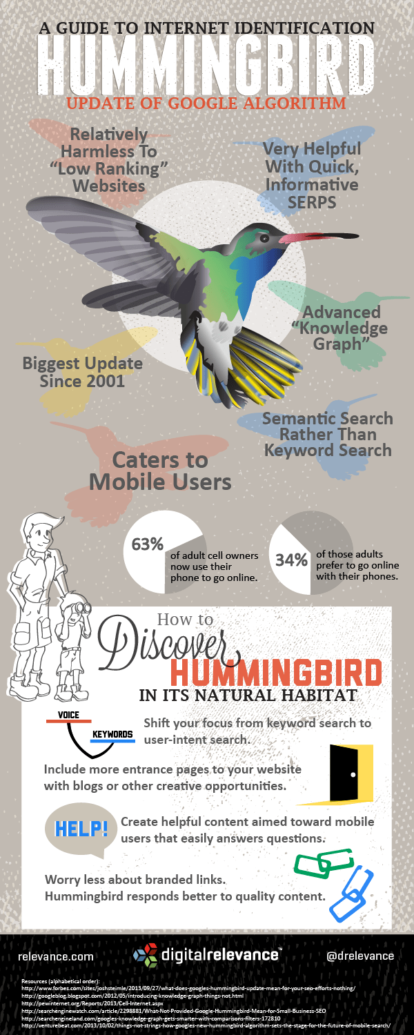 Hummingbird_Infographic