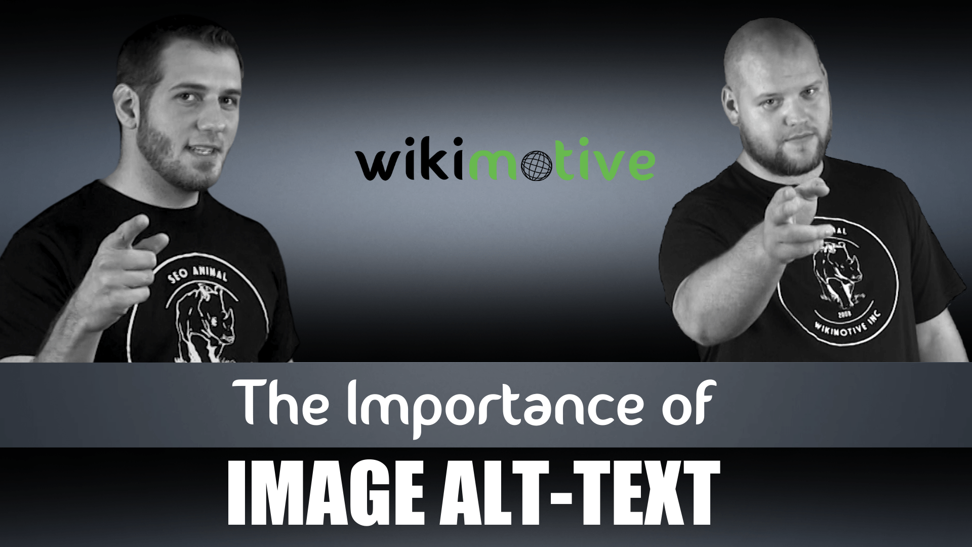 Just the Tip – The Importance of ALT Text