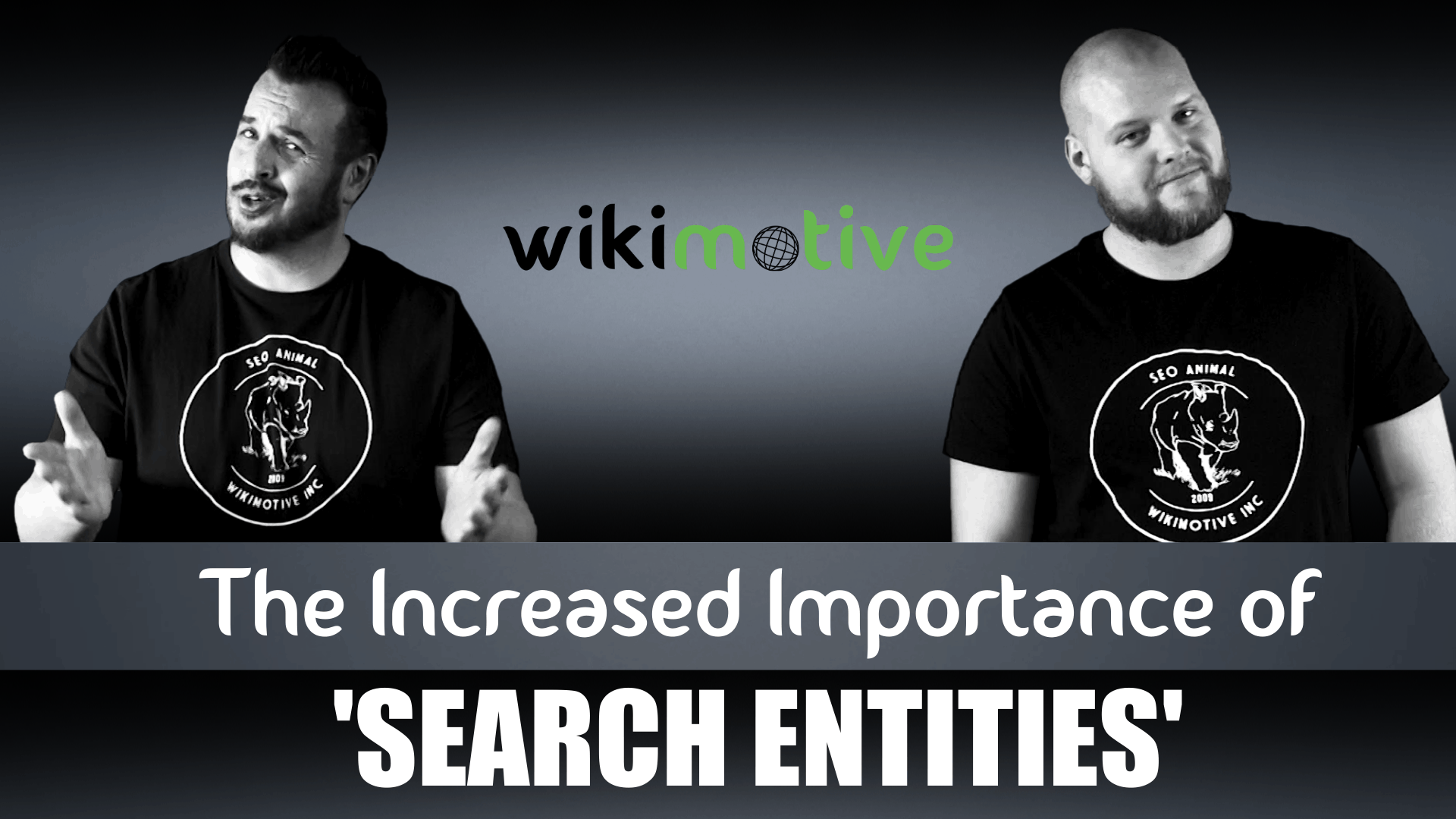 The Increased Importance of Search Entities