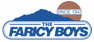 The Faricy Boys Logo