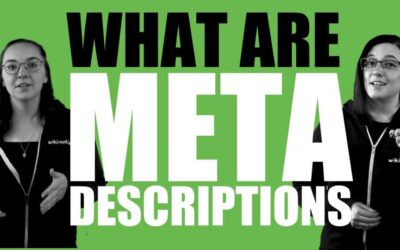 What are Meta Descriptions?